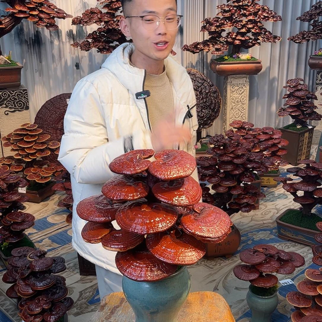 无花朵 8888888888