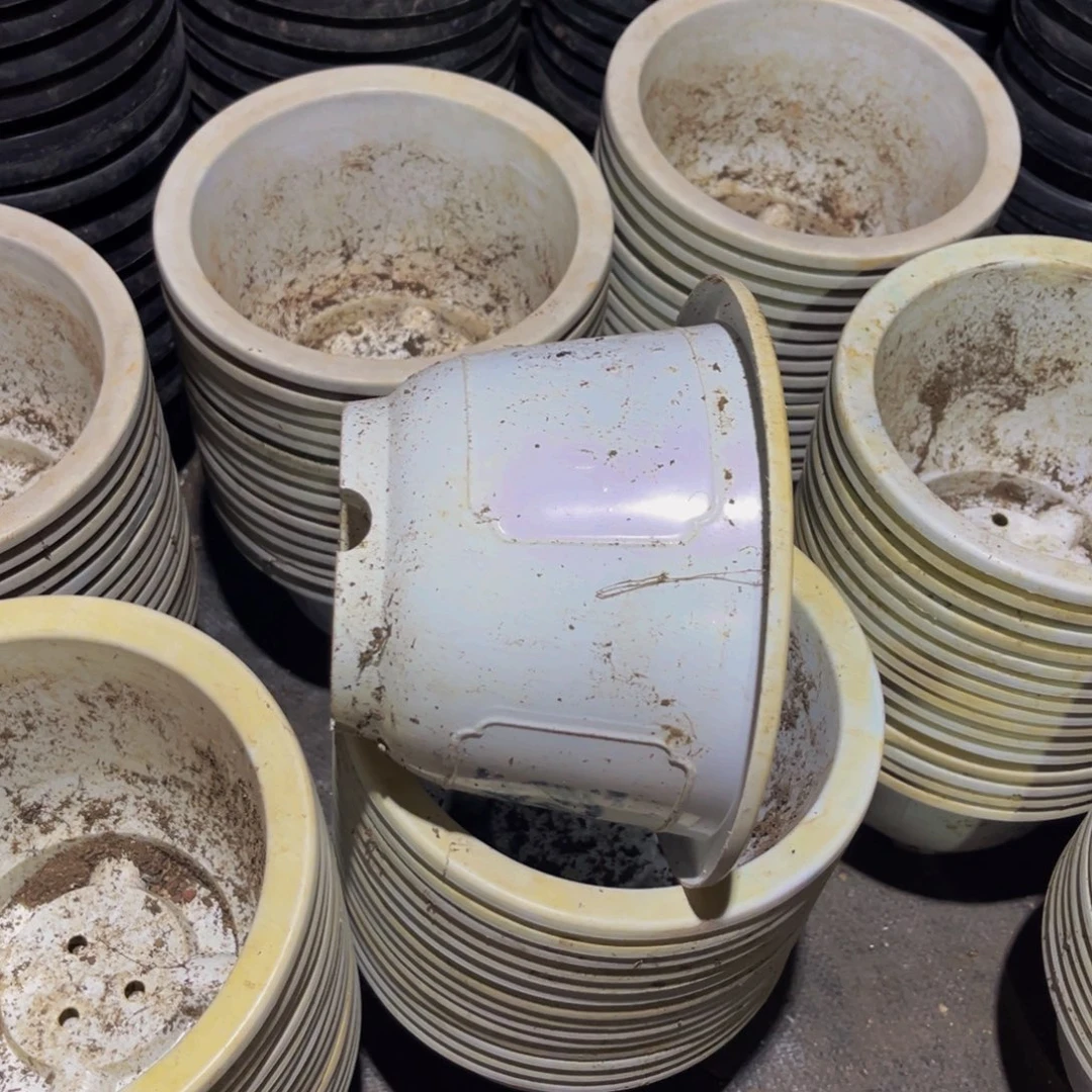 旧口径19 高12白圆盆15个