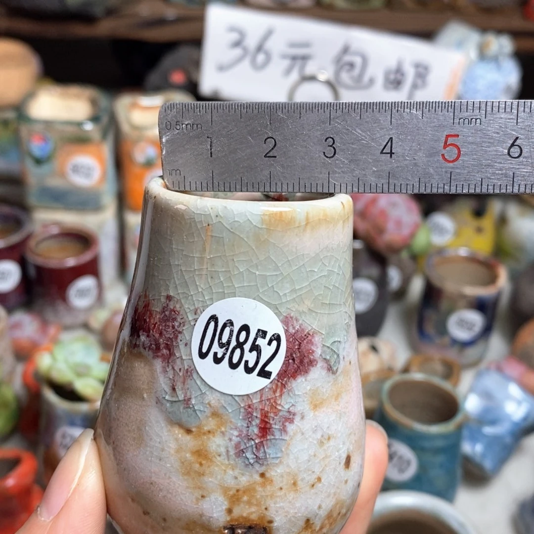 花盆拍5送一个小礼物