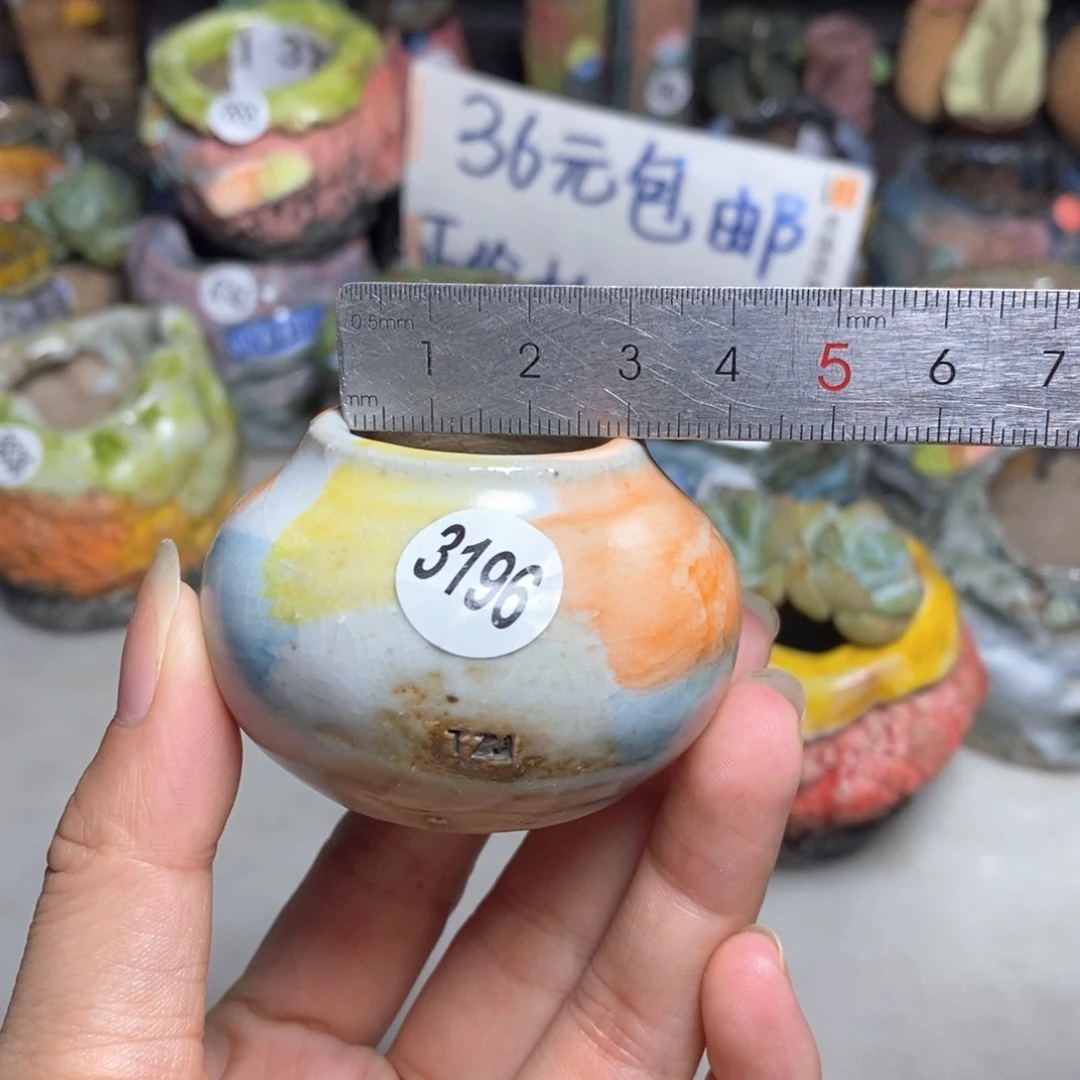 拍5送一个小礼物