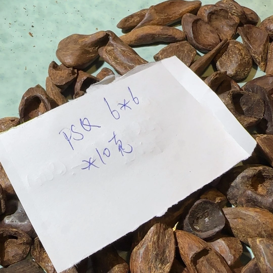 沉香沉香碎屑10克菩萨奇6*6sc