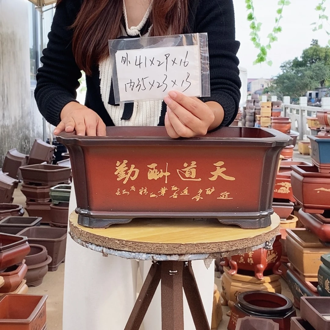 紫砂花盆紫砂花盆