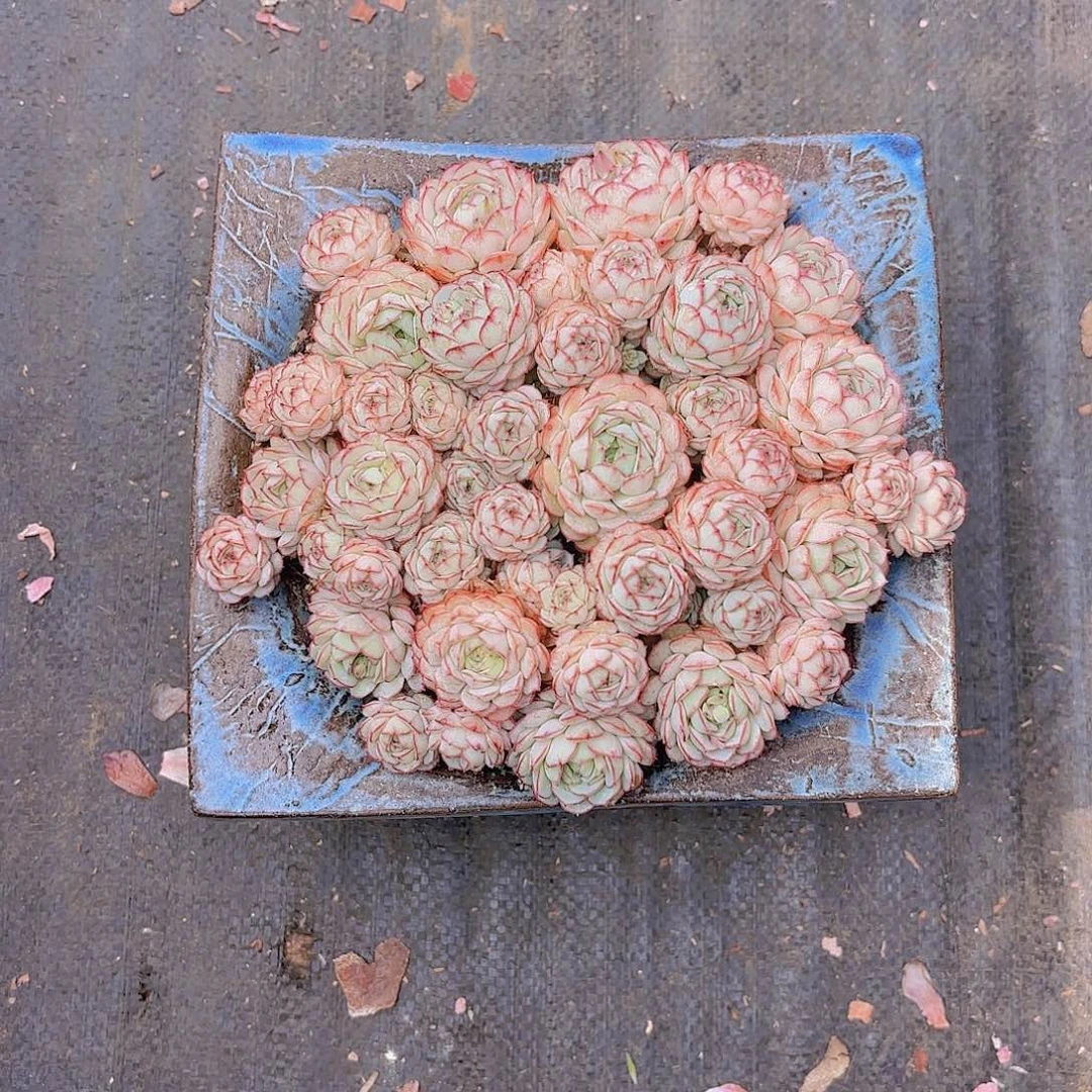 婷*了我们要好好学习