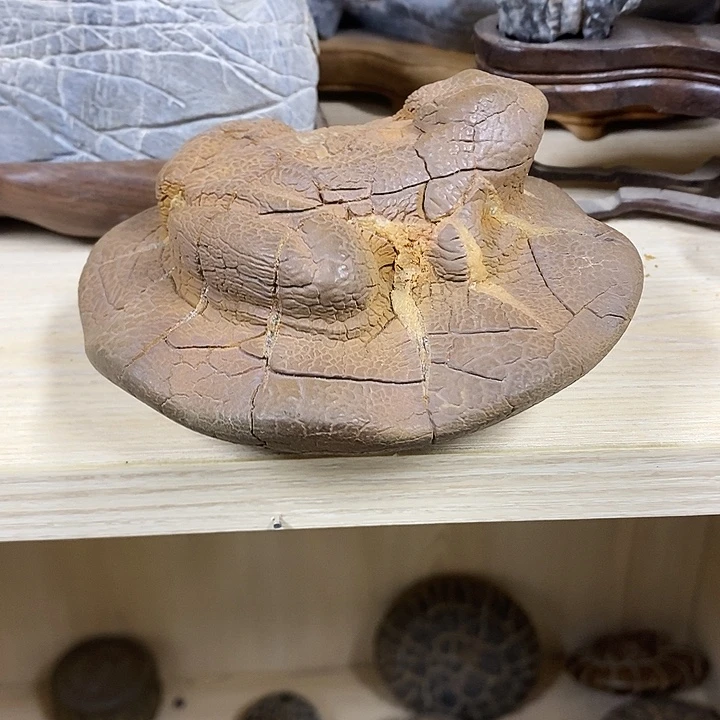 笨***炒去付吧哥谢谢谢谢