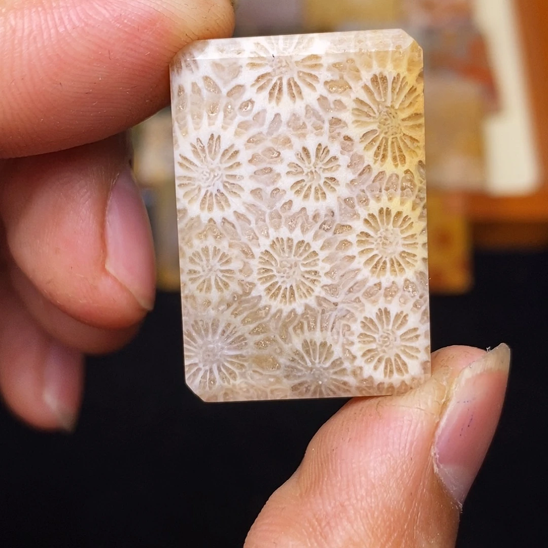 高***人硅化玉合金珊瑚玉