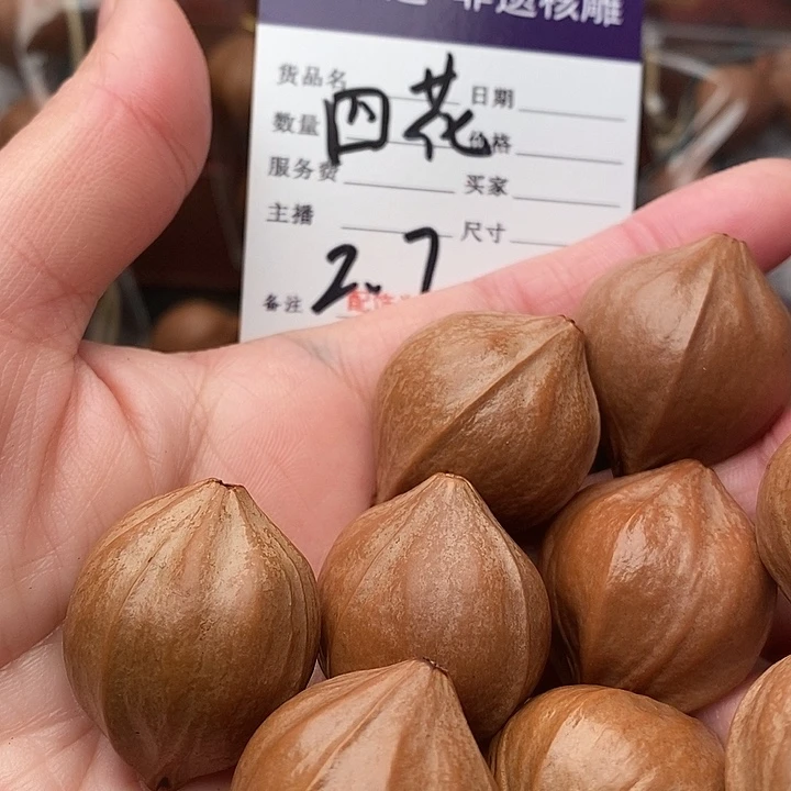 手串/手链橄榄核狂****