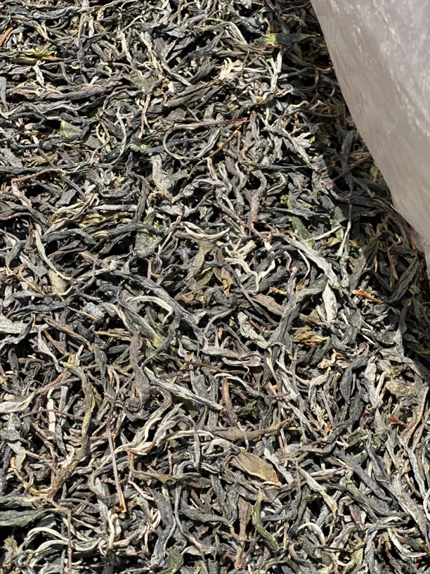 【小户赛2024年头春, 晒青毛茶、生茶】花果香，冰糖甜