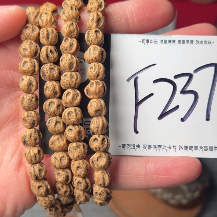 手串柏香籽/百香籽F237