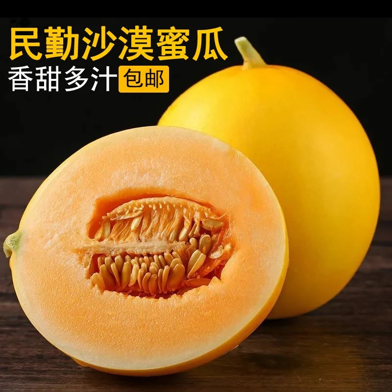 甘肃民勤蜜瓜沙漠蜜瓜2.5-9斤装金红宝甜瓜新鲜水果
