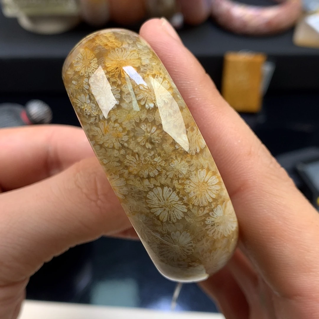 【闪购商品】颈饰未镶嵌硅化珊瑚（珊瑚玉）38号51.6圈