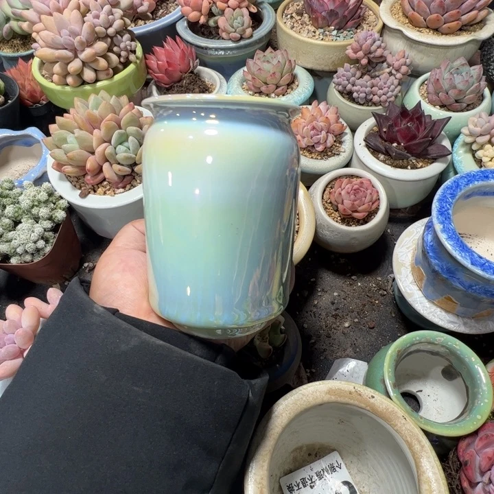 特价花盆满50发货 内口5.5