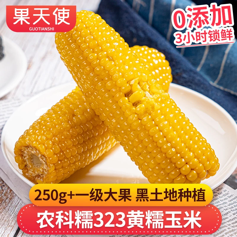 【果天使标准】黑龙江农科糯323黄糯玉米8根装香甜软糯蔬菜玉米