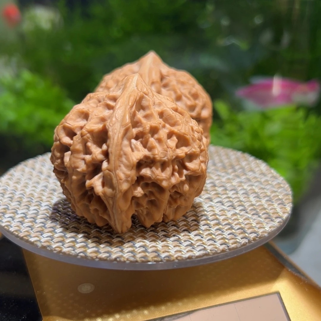 桃核把件太行龙纹38.41.36