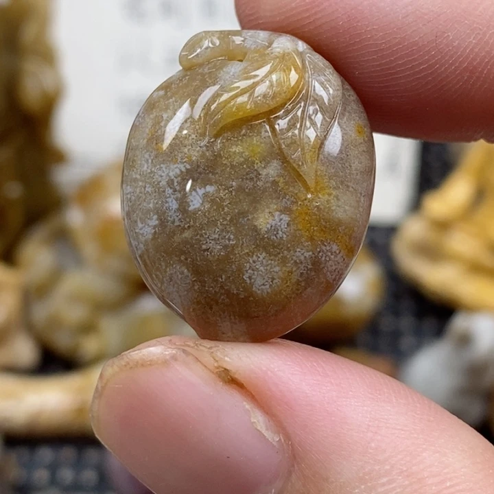 颈饰未镶嵌硅化珊瑚（珊瑚玉）小
