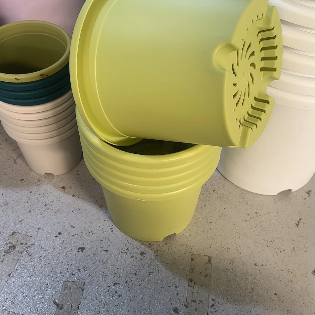 编号4206，4号无托