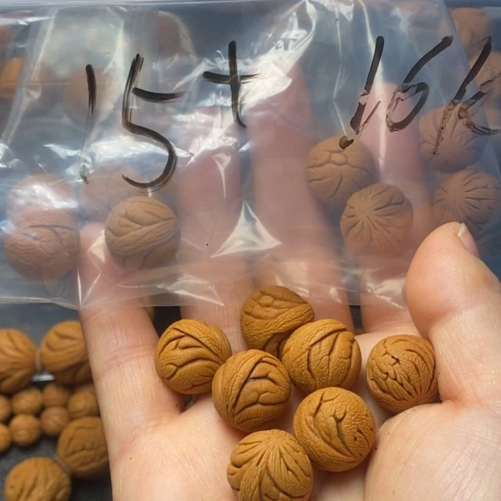 吊坠桃核秦岭山野生桃核