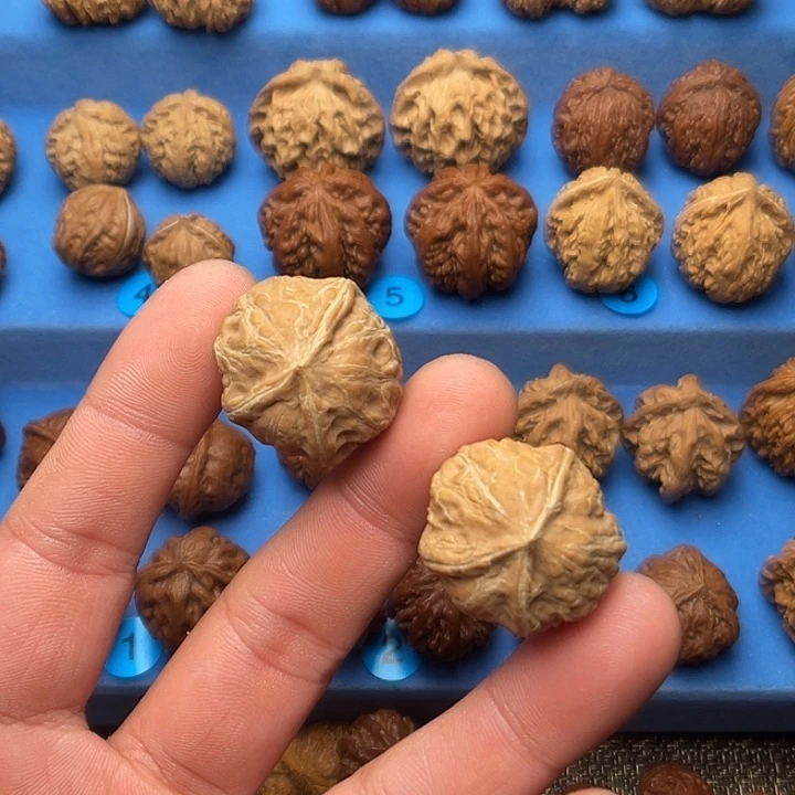 梅***青文玩核桃把件三棱人字