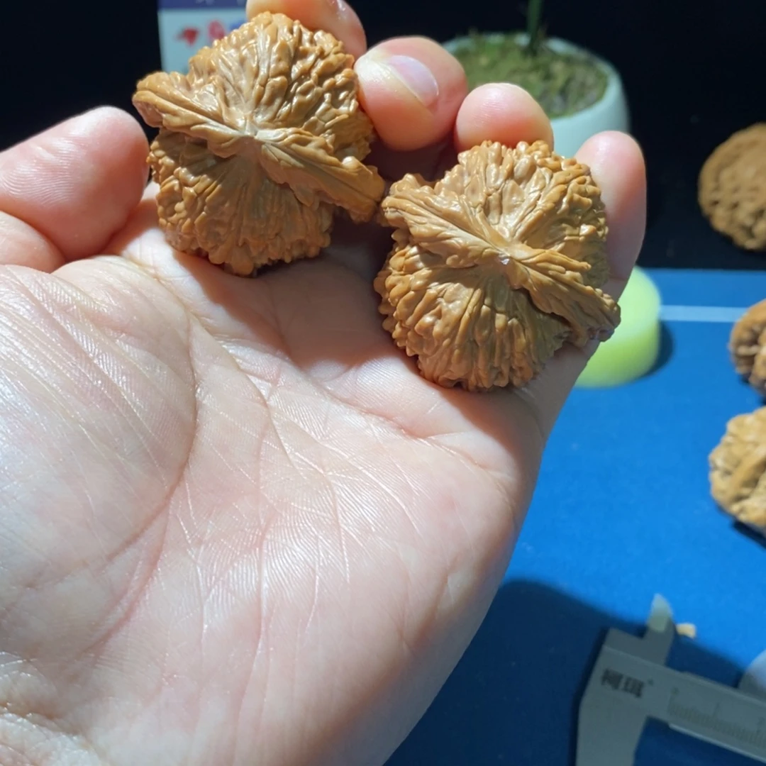 文玩核桃吊坠白狮子