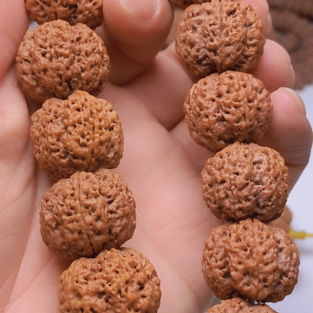 金刚菩提把件5瓣23五星双龙
