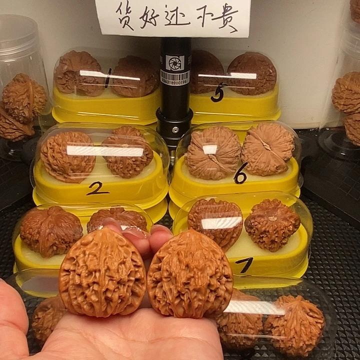 41满肉  凹底龙门