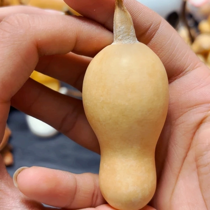 ?****?888888888888888888888