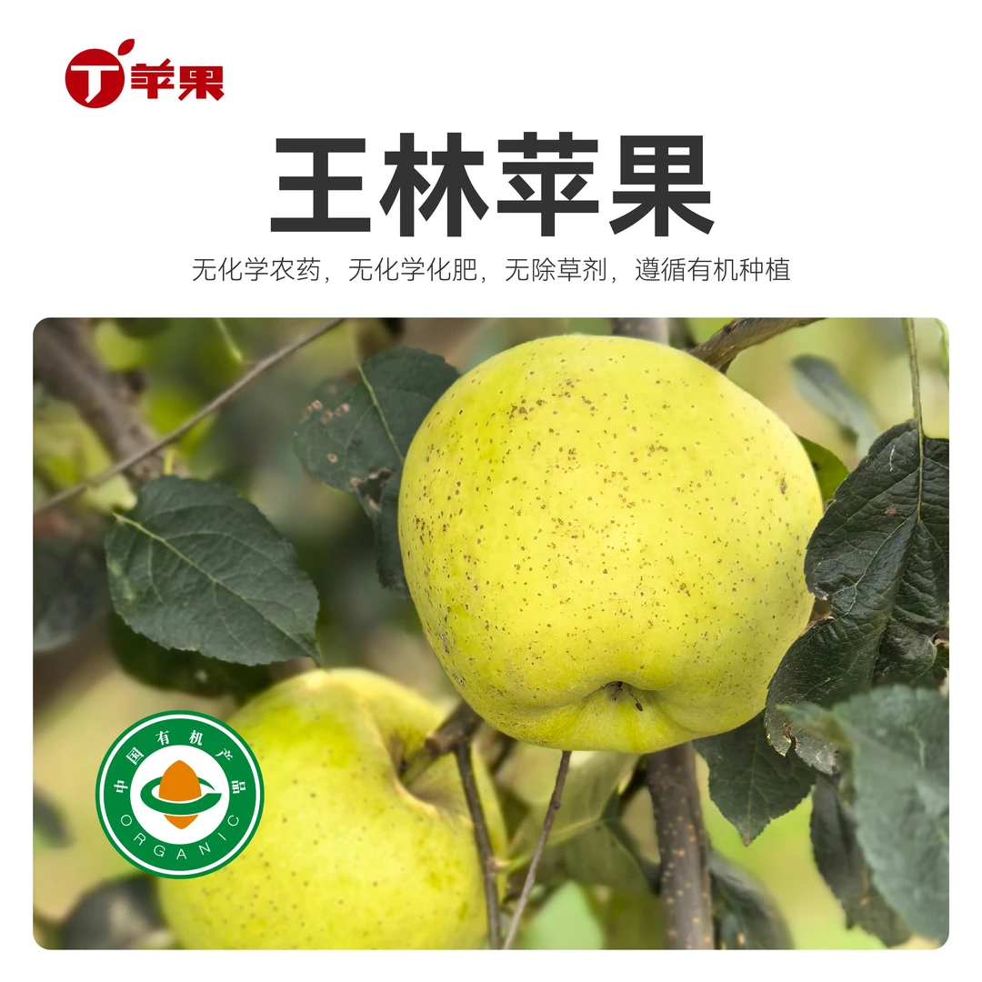 王林苹果【丁苹果 】有机认证 家庭装 王林苹果部分粉面4.5斤