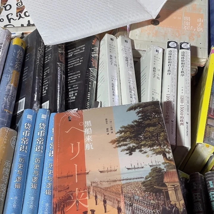 黑船来航微瑕微瑕4