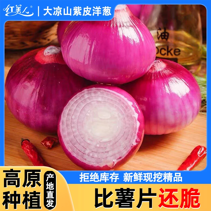 紫皮小洋葱新鲜圆葱大凉山洋葱蔬菜红皮特产农家元葱水果