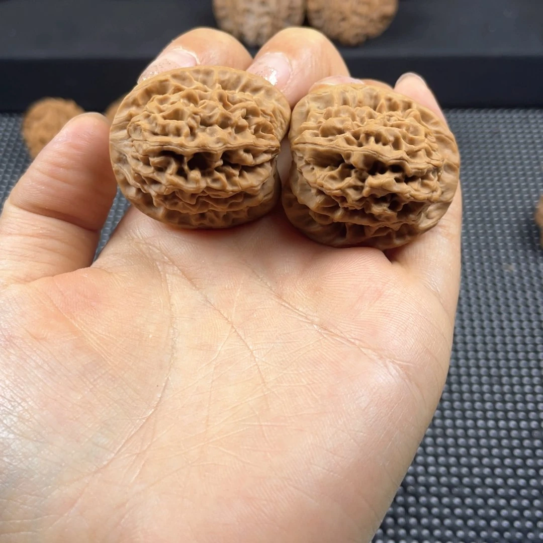 o****◤秦岭神树秦闷小王