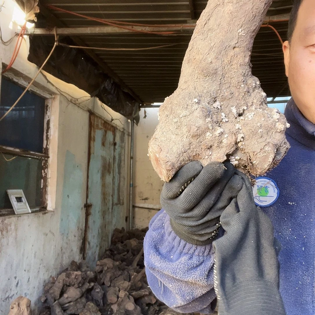 无***谓无花朵0000000000163