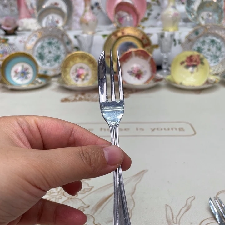 盘维多利亚欧洲中古