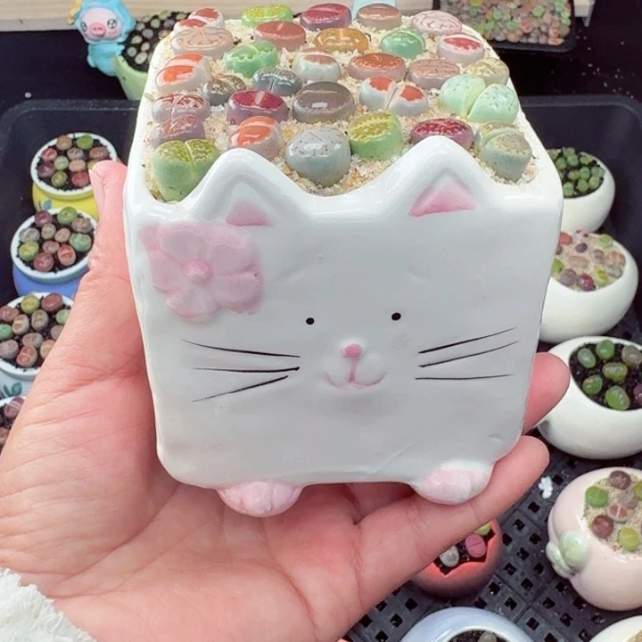 364零下地区记得拍保温箱满18包邮