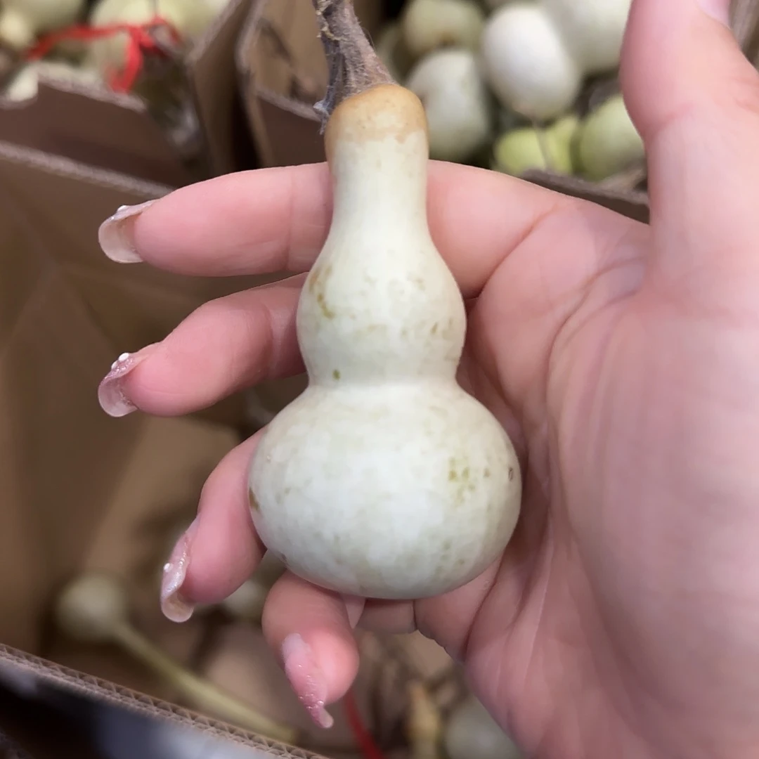 勿***葫芦桂花糕桂花酒古古惑惑