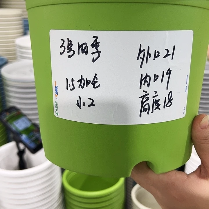 特价3号四季口21高18果绿色10个无托
