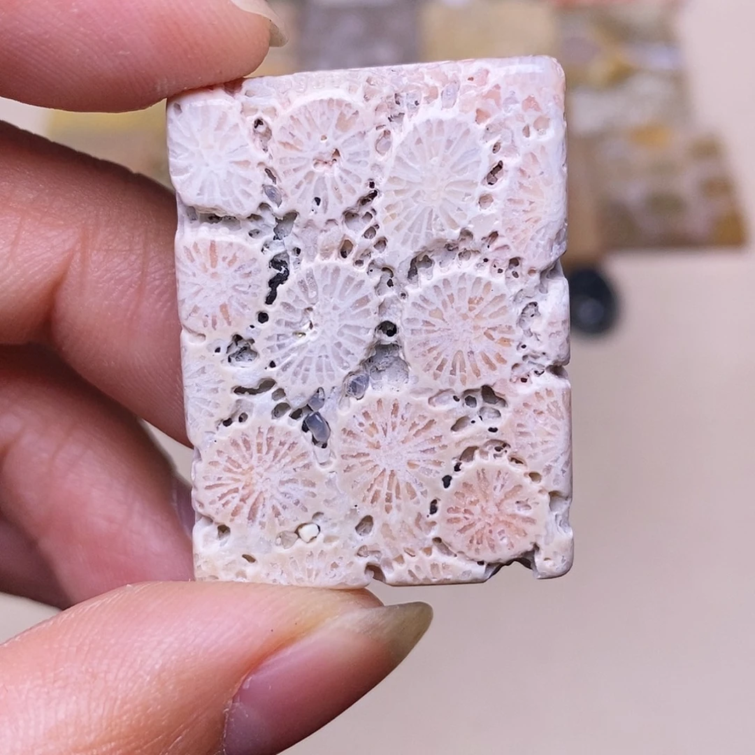 R****硅化玉合金珊瑚玉