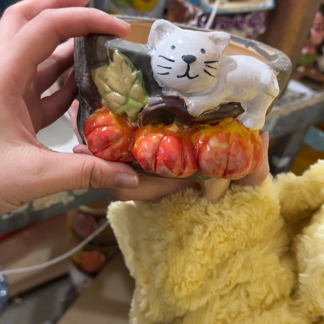 满20米秒退拉黑多肉瑕疵179