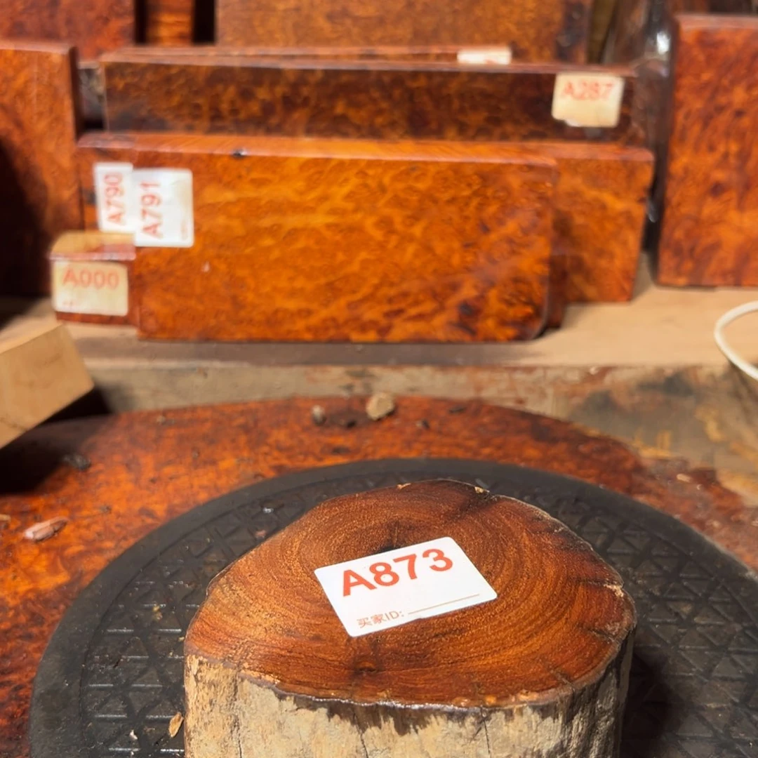 大果紫檀（缅甸花梨）