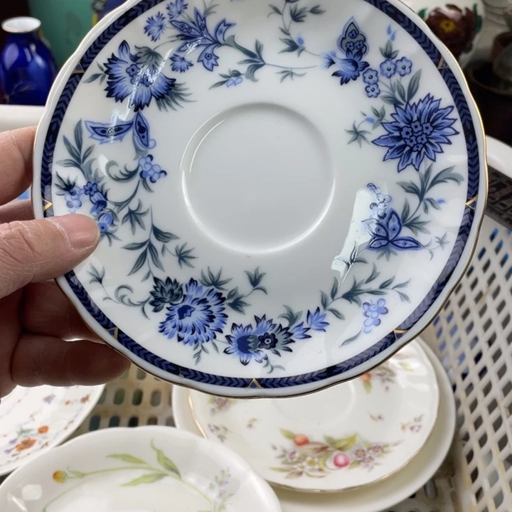 碟开播了开播了开播了