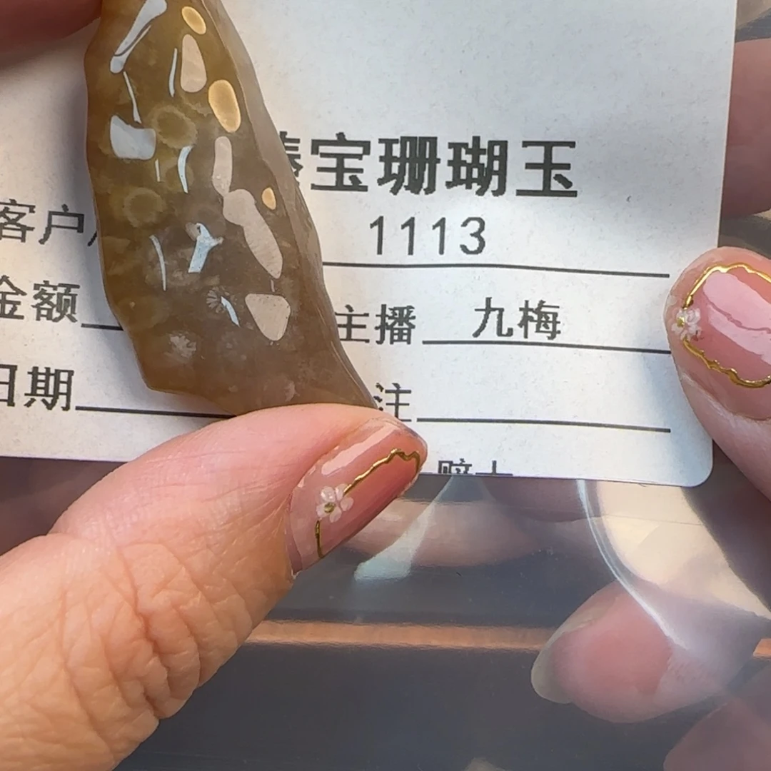 硅化珊瑚（珊瑚玉）未镶嵌颈饰