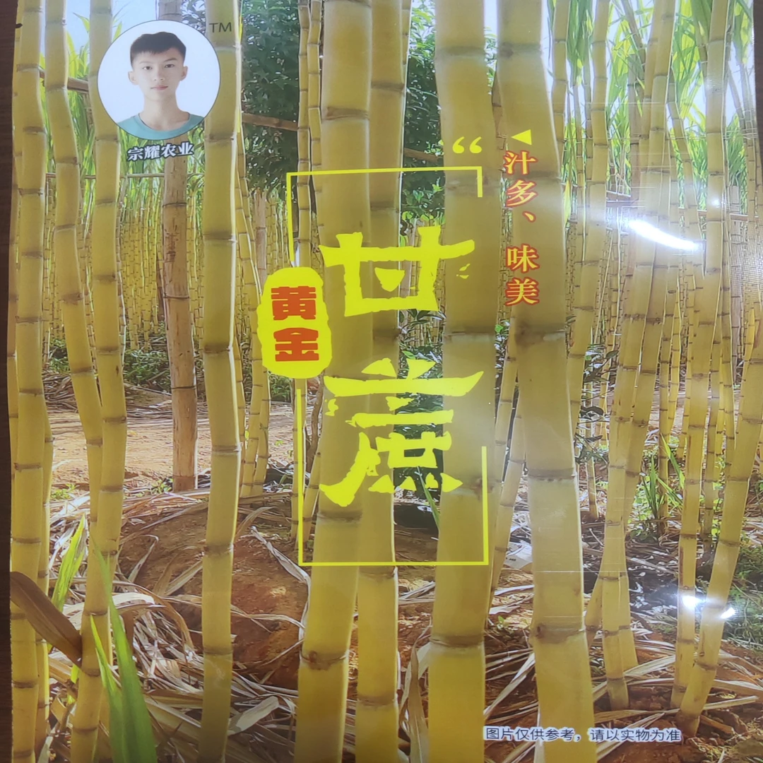 云南黄金甘蔗开袋即食美味零食产地直发批发划算甘蔗软罐头