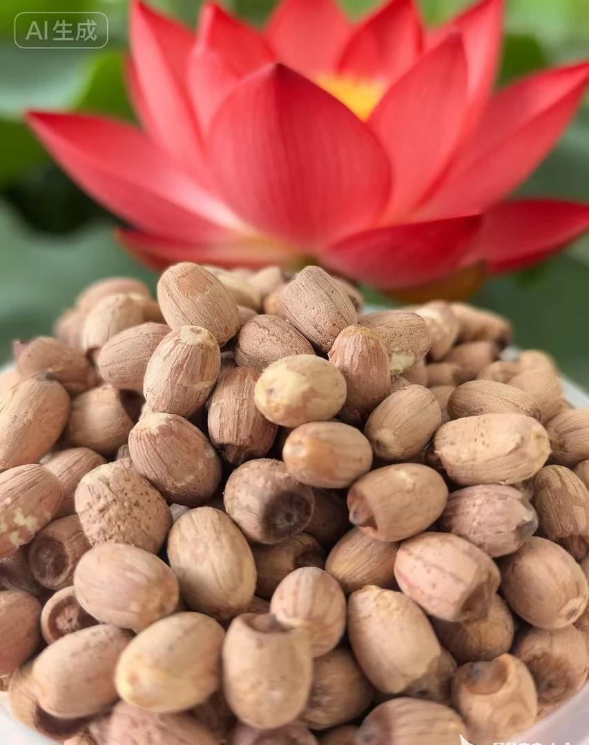 洪湖带芯生态红莲,有营养洪湖特产莲子