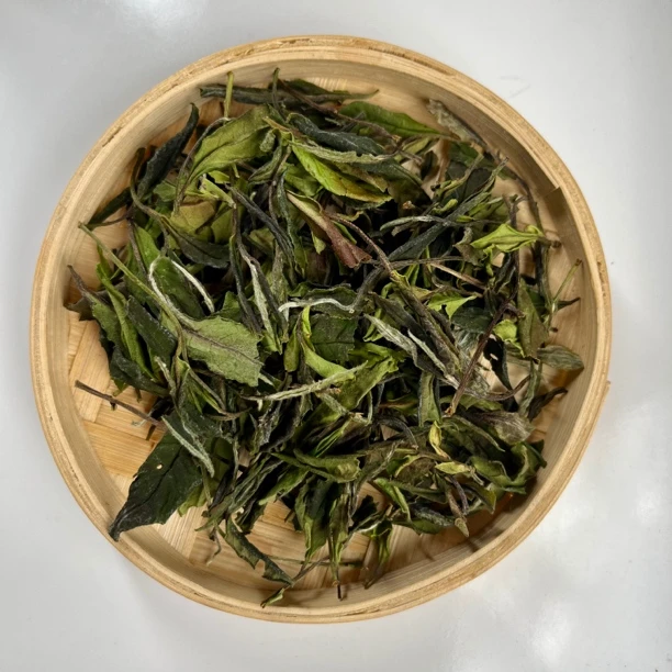2025一级荒野贡眉菜茶锦屏小野白政和白茶（无试喝茶样，拆封不退）