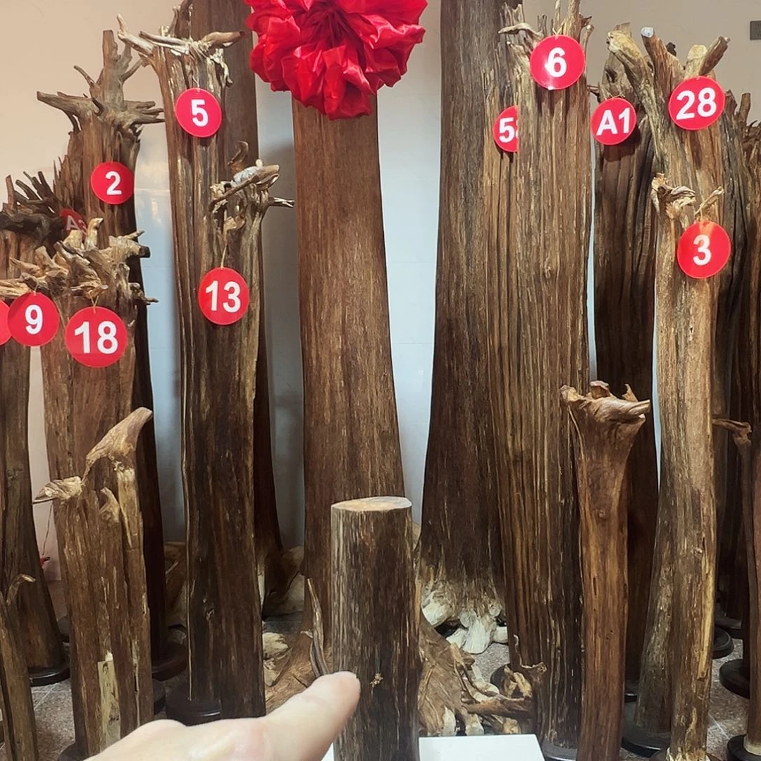 沉香碎屑沉香沉香原料