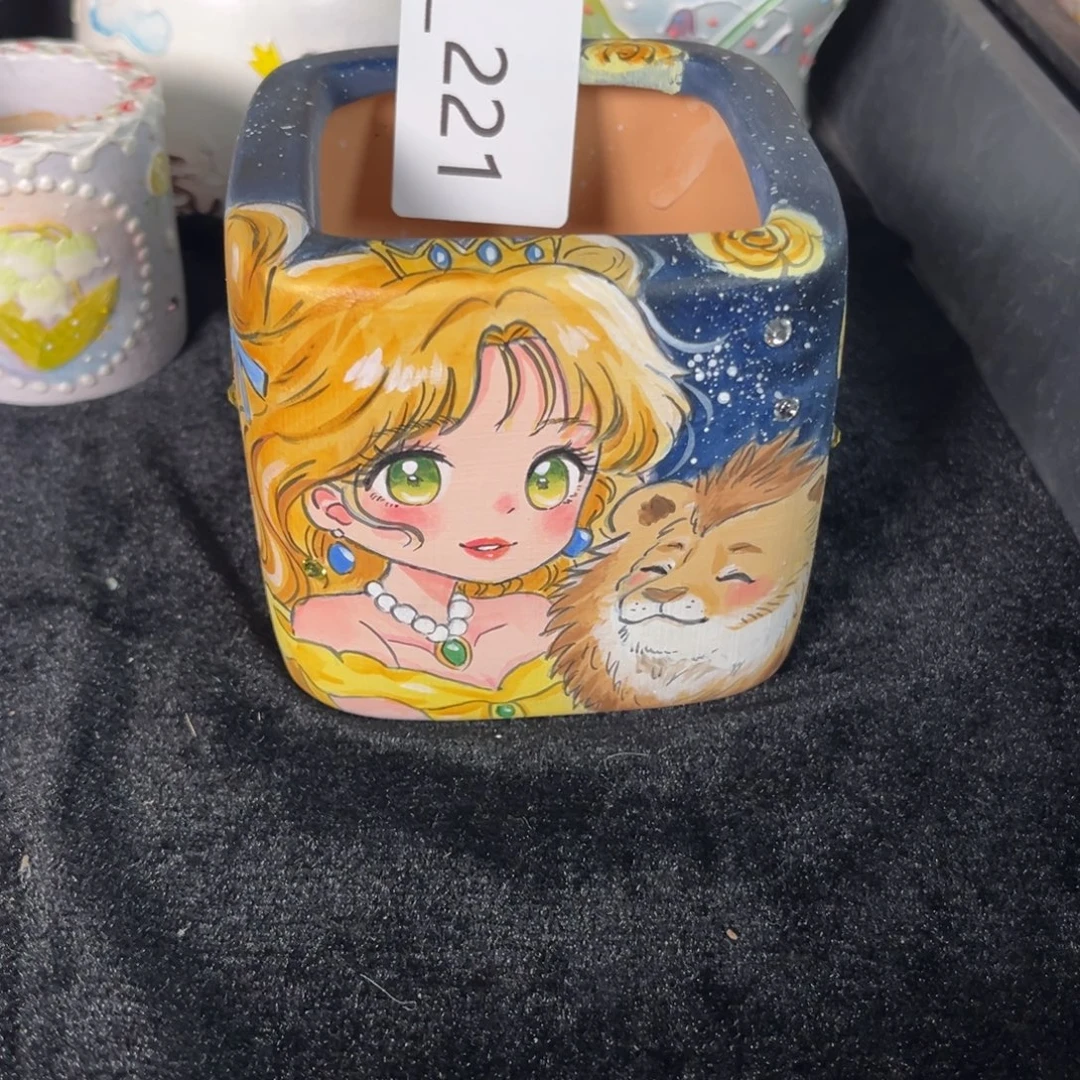 多***亿221多肉花盆 128元1个