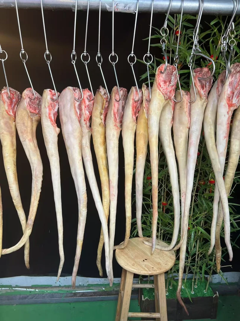 土黄牛 带皮牛尾巴 开水烫毛手工制作带皮尾巴