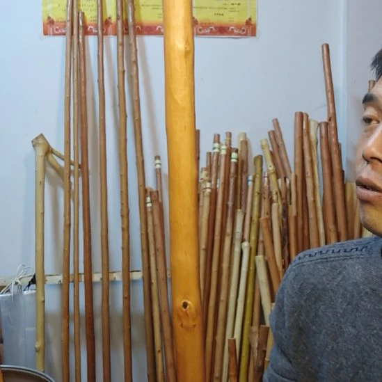 远***埃秦岭石山红荀子，牛筋木