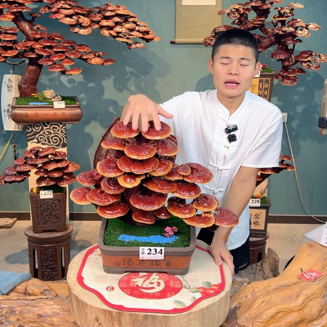 无花朵66666666666