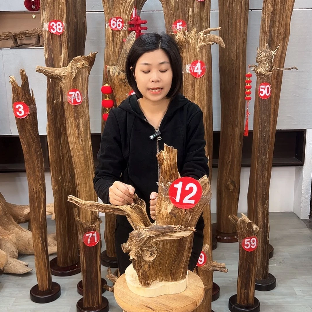 沉香摆件雪沉香摆件