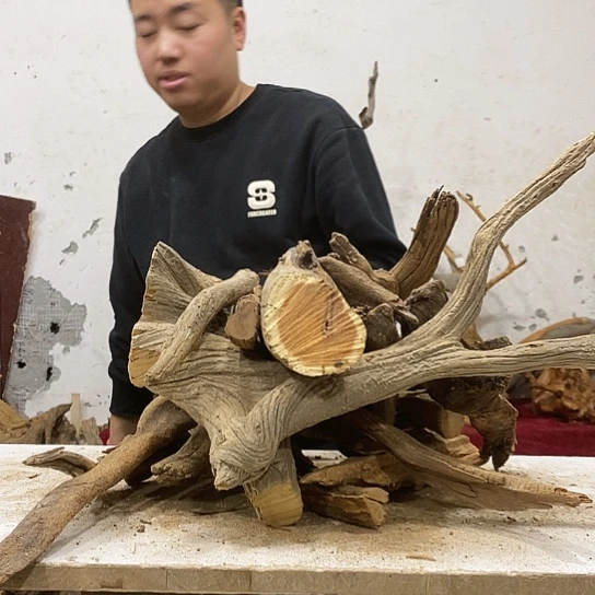 硕***宝柏木我们都是好孩子