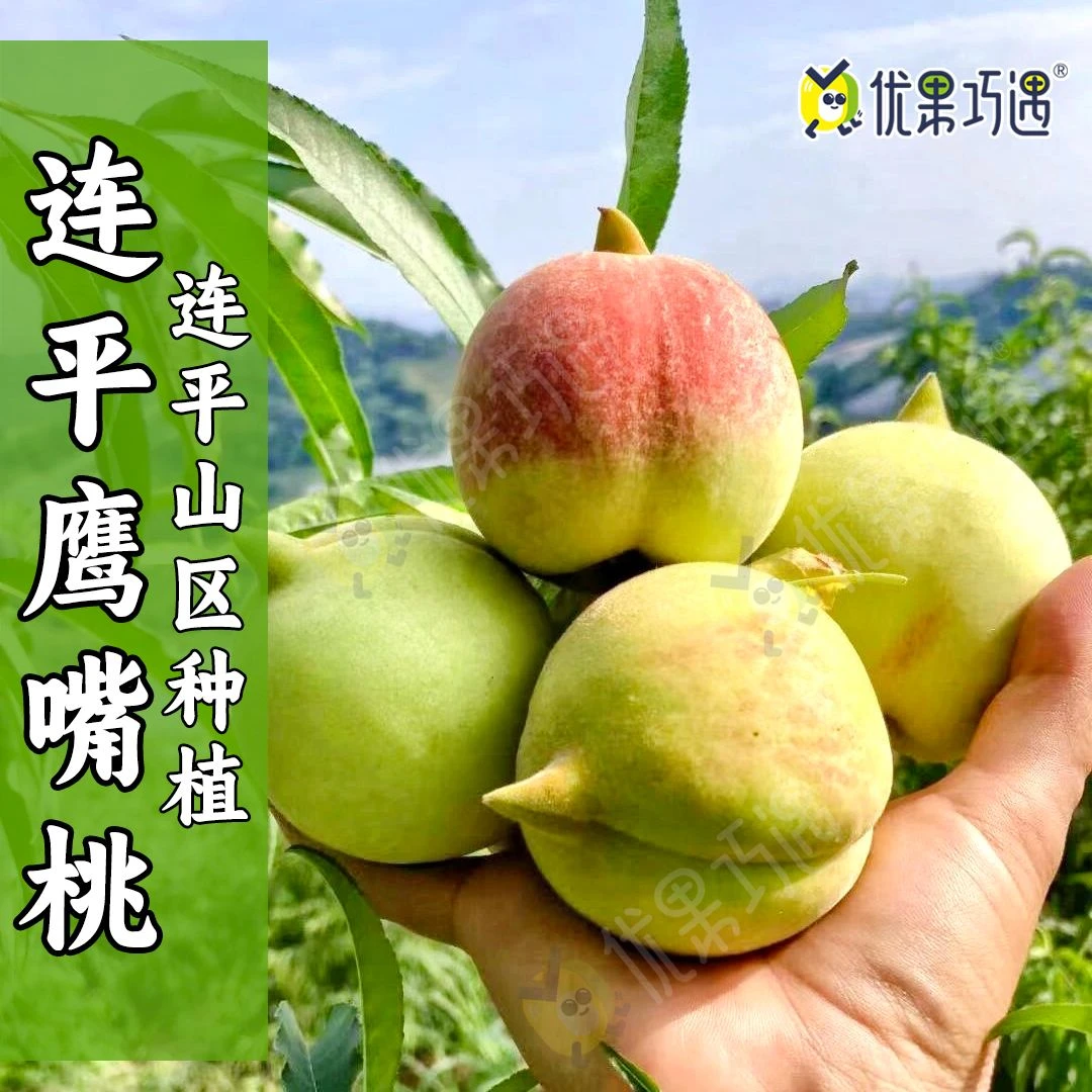 正宗上坪鹰嘴桃河源鹰嘴桃连平鹰嘴桃新鲜水果脆甜5-10斤果园直发